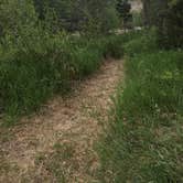 Review photo of Encampment River Campground by Annie C., June 1, 2019