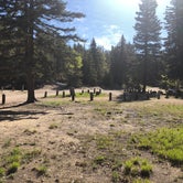 Review photo of Junebug Campground by Christina S., June 1, 2019