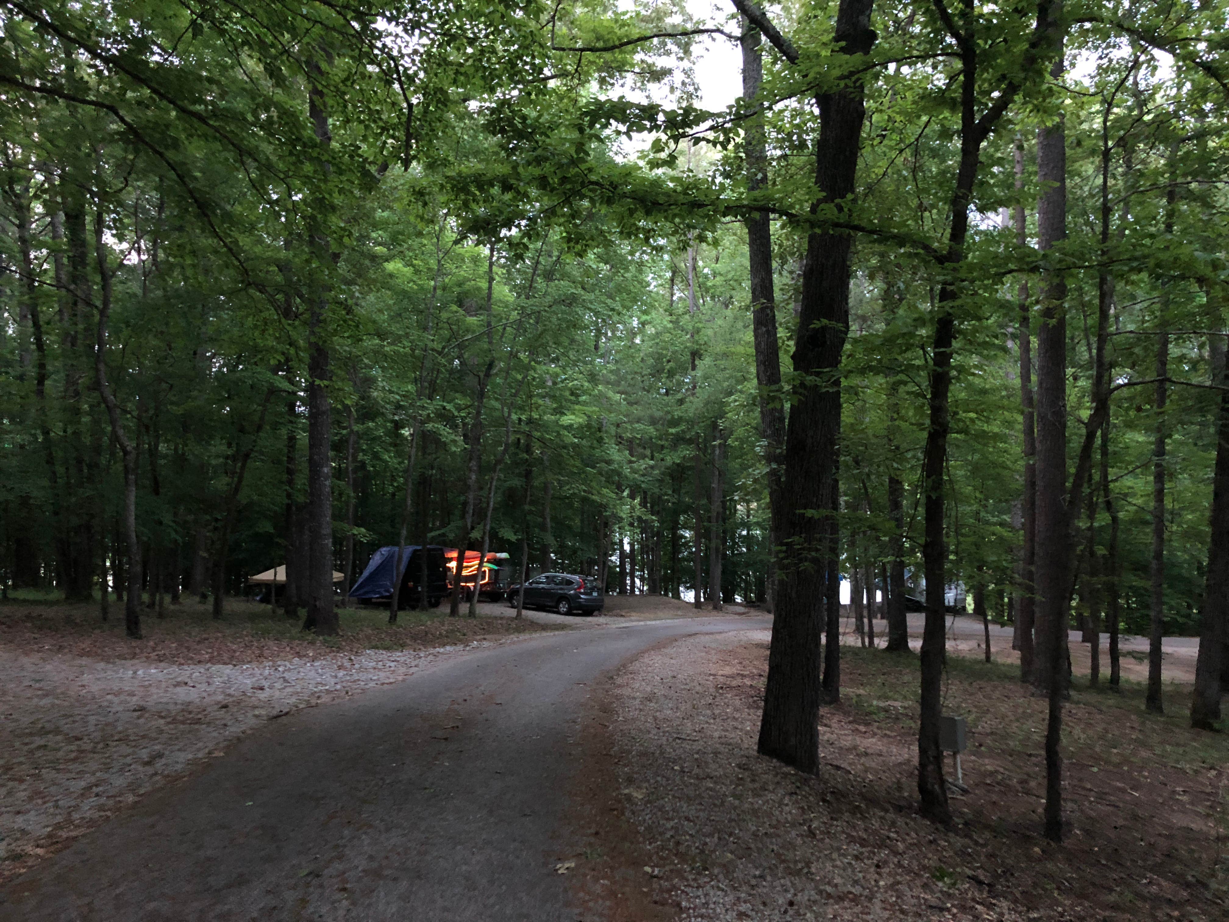 Camper submitted image from Piney Point Campground - 4