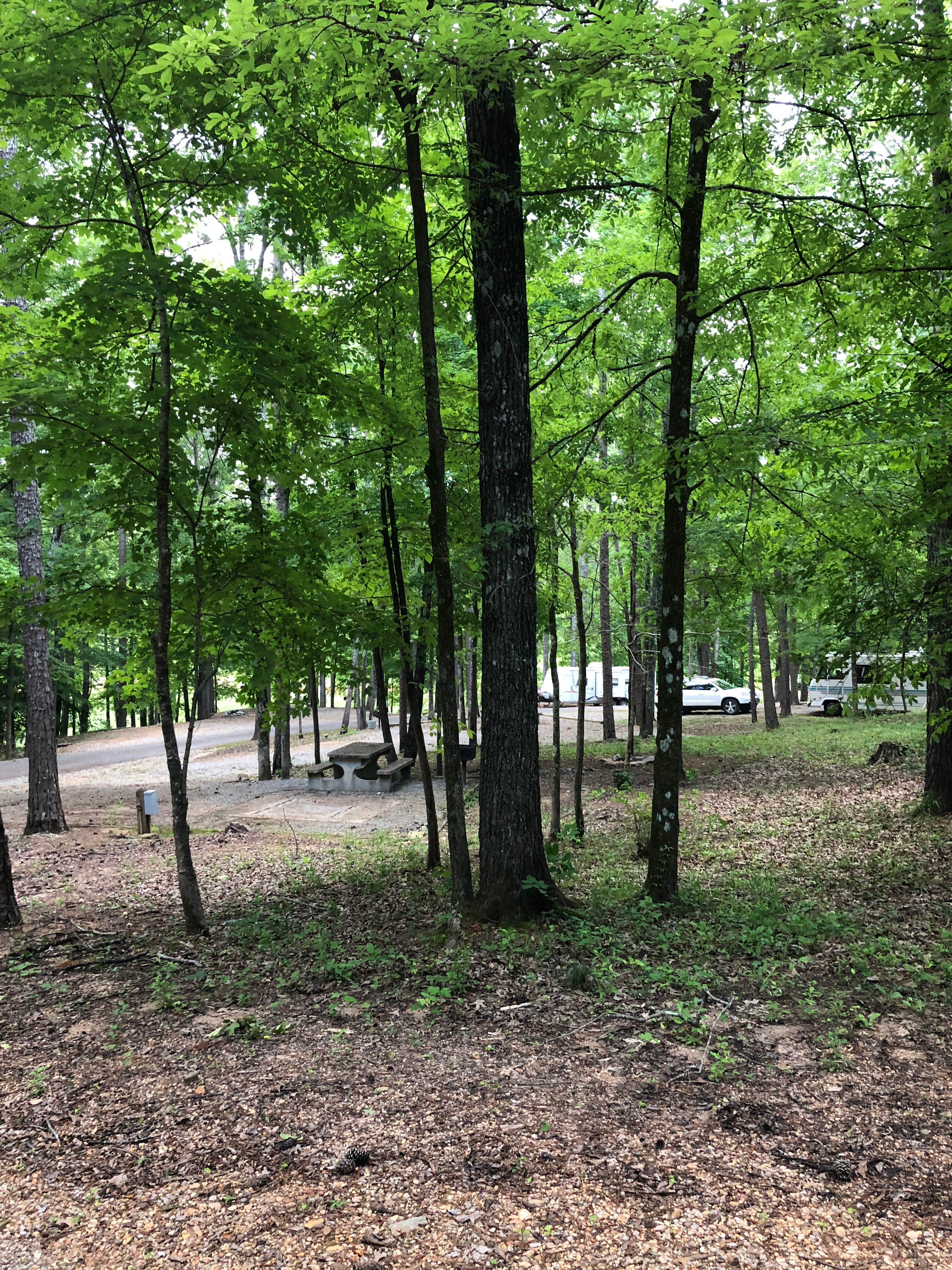 Camper submitted image from Piney Point Campground - 2