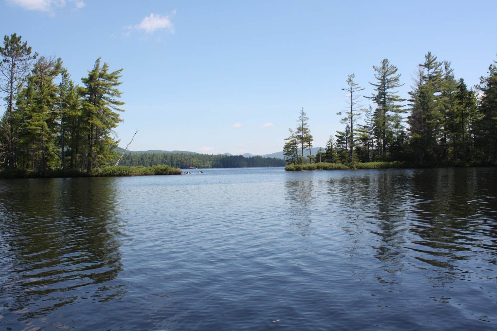 Camper submitted image from Buck Pond Campground - 1
