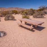 Review photo of Joshua Tree South - BLM Dispersed by David F., June 1, 2019