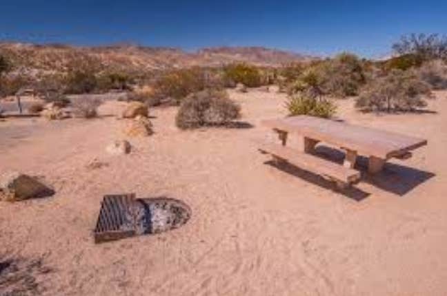 Camper submitted image from Joshua Tree South - BLM Dispersed - 4