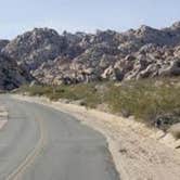Review photo of Joshua Tree South - BLM Dispersed by David F., June 1, 2019