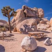 Review photo of Joshua Tree South - BLM Dispersed by David F., June 1, 2019