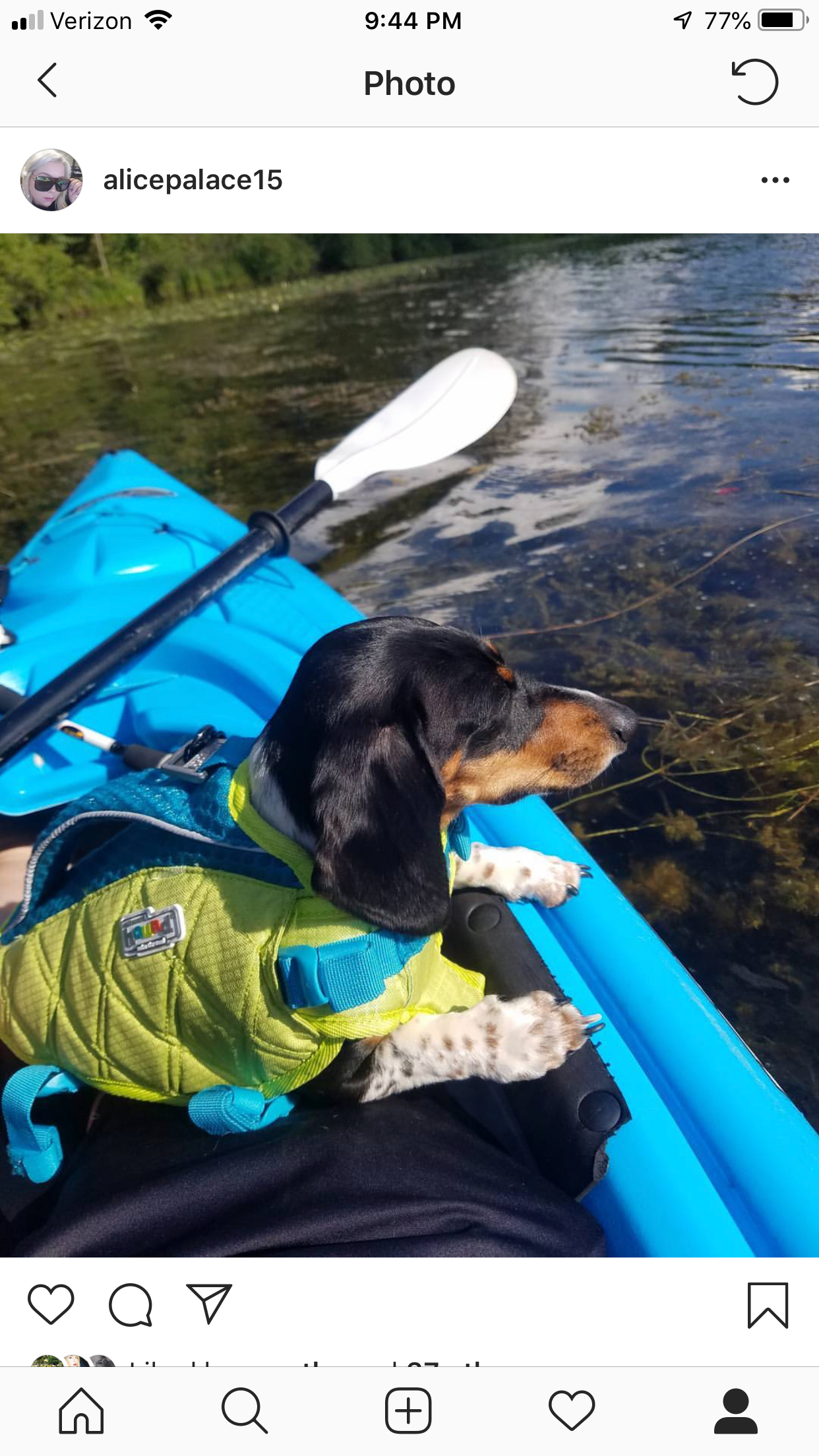 Kelsey P.'s photo of camping with pets at Seven Lakes State Park Campground near Corunna, MI
