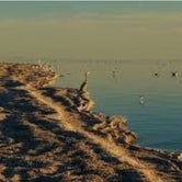 Review photo of Corvina Beach Campground — Salton Sea State Recreation Area by David F., June 1, 2019