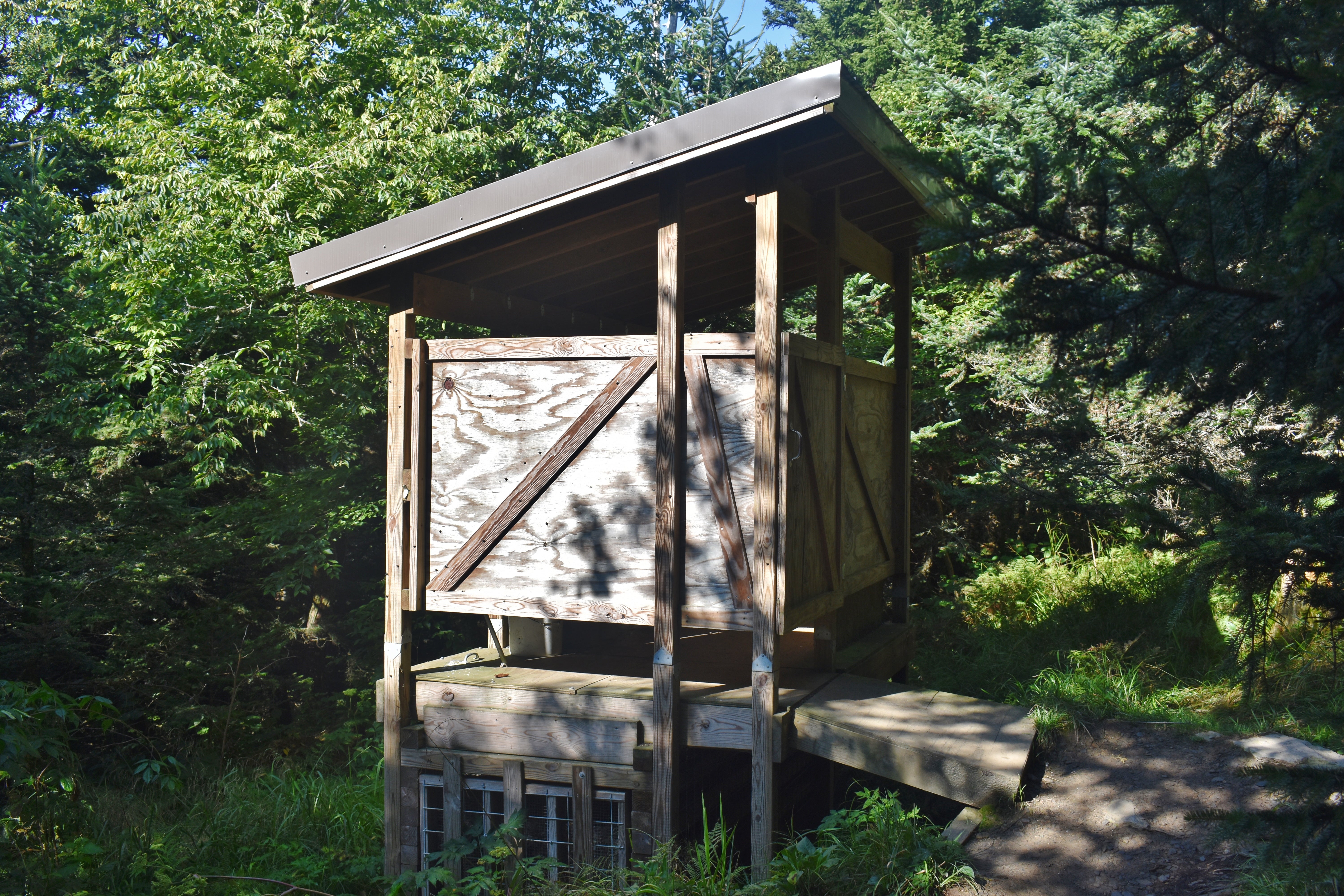 Camper submitted image from Icewater Spring Shelter — Great Smoky Mountains National Park - 4