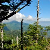 Review photo of Icewater Spring Shelter — Great Smoky Mountains National Park by Myron C., June 1, 2019