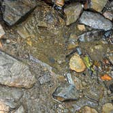 Review photo of Icewater Spring Shelter — Great Smoky Mountains National Park by Myron C., June 1, 2019