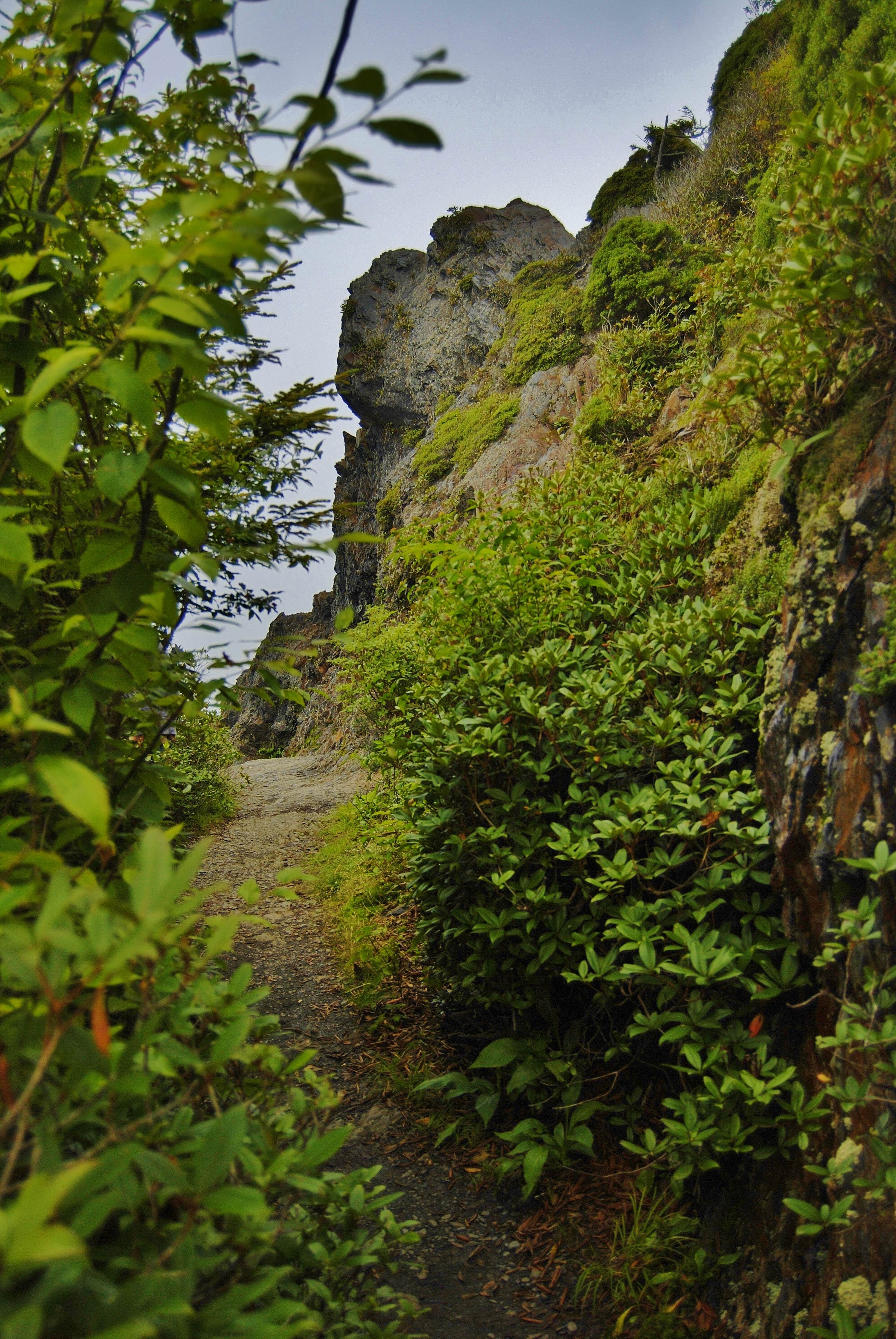 Camper submitted image from Icewater Spring Shelter — Great Smoky Mountains National Park - 3