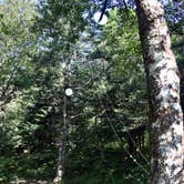 Review photo of Icewater Spring Shelter — Great Smoky Mountains National Park by Myron C., June 1, 2019