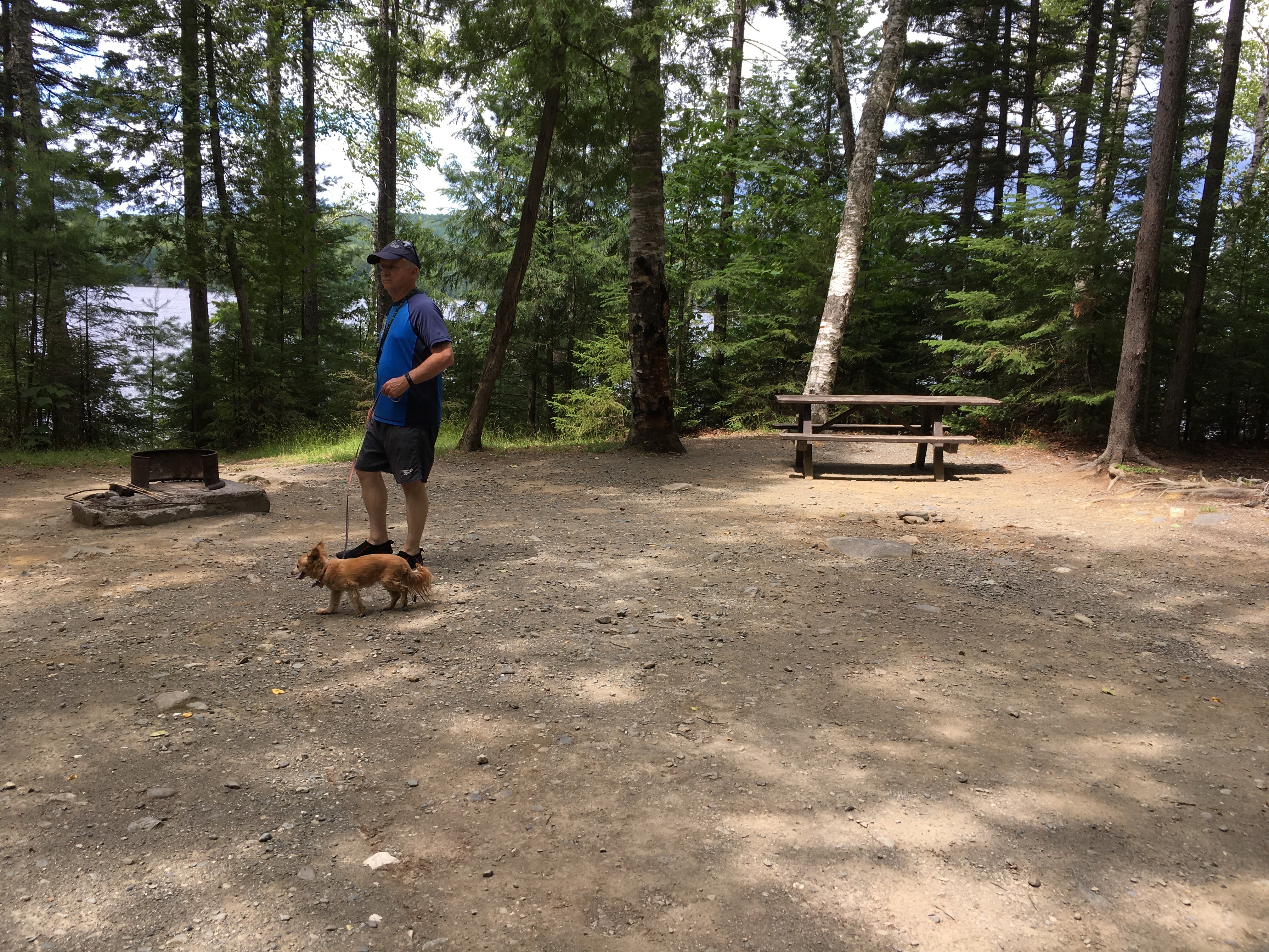 Camper submitted image from Dunn Point Campground — Lily Bay State Park - 1