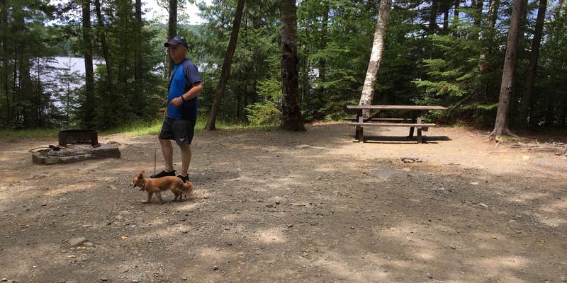 Camper submitted image from Dunn Point Campground — Lily Bay State Park