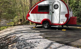Pam L.'s photo at Roan Mountain State Park Campground near Bakersville, NC