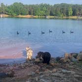 Review photo of Springfield - Hartwell Lake by Laura D., June 1, 2019