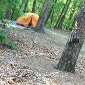 Review photo of Kings Mountain — Kings Mountain State Park by Laura D., June 1, 2019