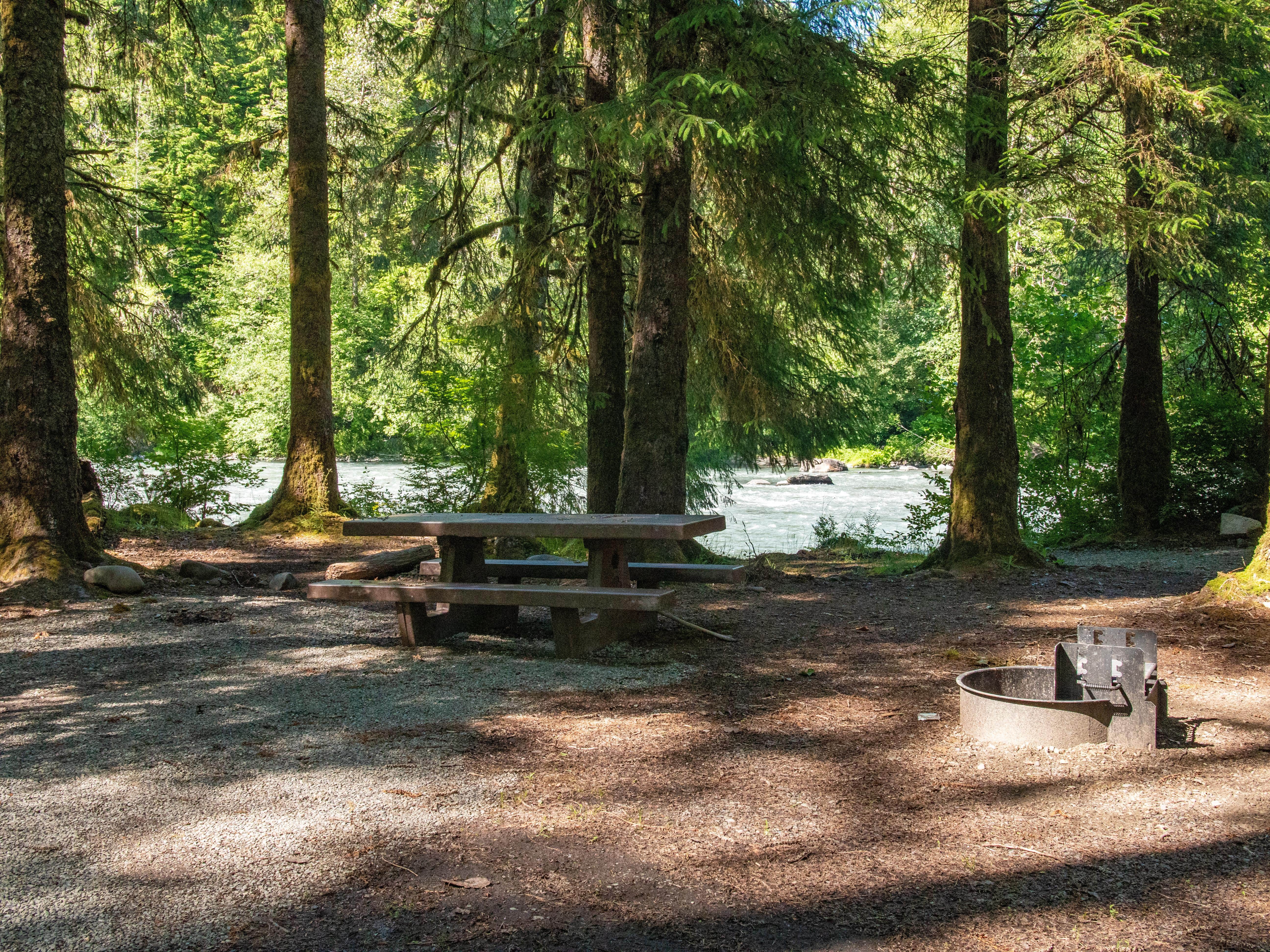Camping near Upper Clearwater: Queets Campground — Olympic National Park, Amanda Park, Washington