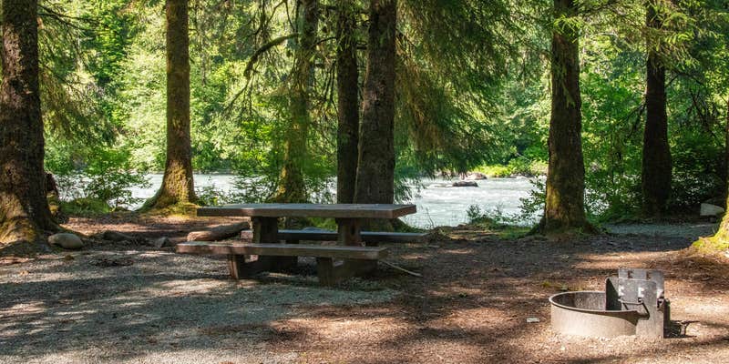 Camper submitted image from Queets Campground — Olympic National Park