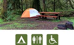 The Dyrt's photo at Queets Campground — Olympic National Park near Olympic National Forest