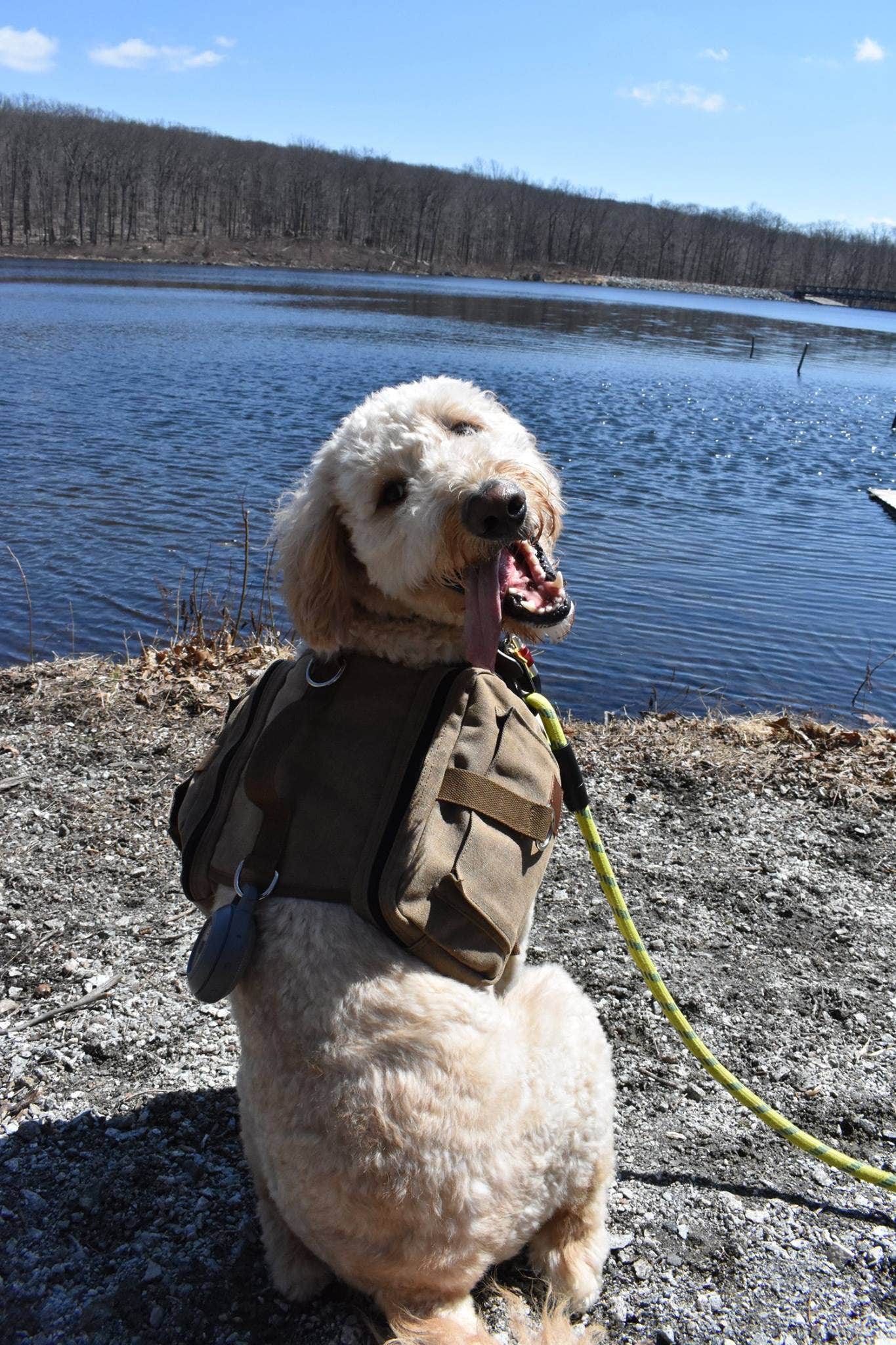 Paulene-Amanda M.'s photo of camping with pets at Mahlon Dickerson Reservation near Greenwich, CT