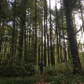 Review photo of Davidson River Campground by Laura D., June 1, 2019