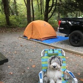 Review photo of Davidson River Campground by Laura D., June 1, 2019