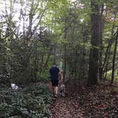 Review photo of Davidson River Campground by Laura D., June 1, 2019