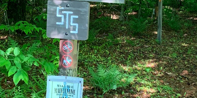 Camper submitted image from Patterson State Park Campground