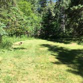 Review photo of Cobscook Bay State Park by Celeste C., June 1, 2019