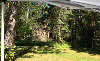 Celeste C.'s photo at Cobscook Bay State Park Campground near Machiasport, ME