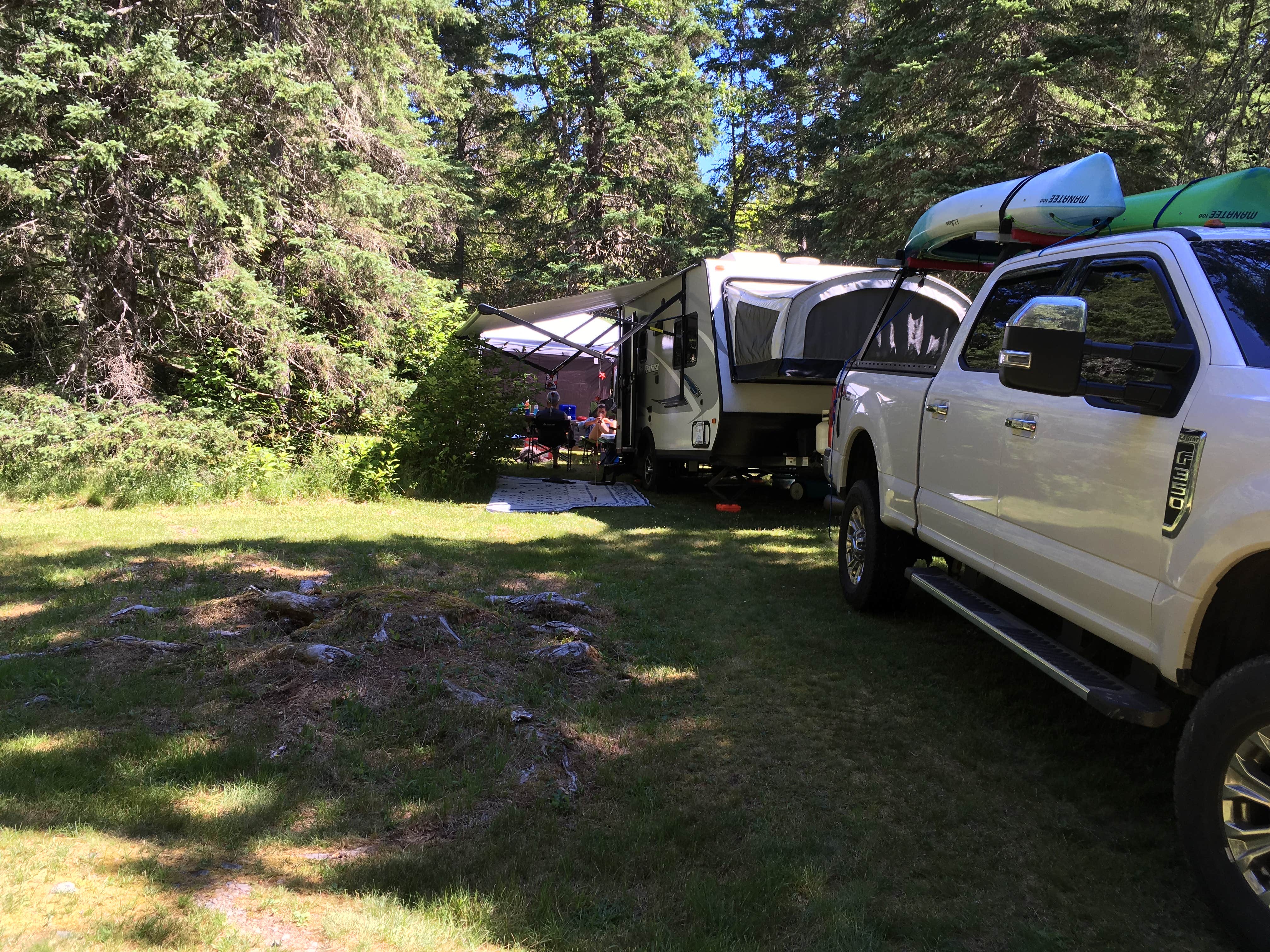 Celeste C.'s photo of rv camping at Cobscook Bay State Park Campground near Lubec, ME