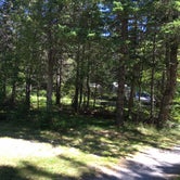 Review photo of Cobscook Bay State Park Campground by Celeste C., June 1, 2019