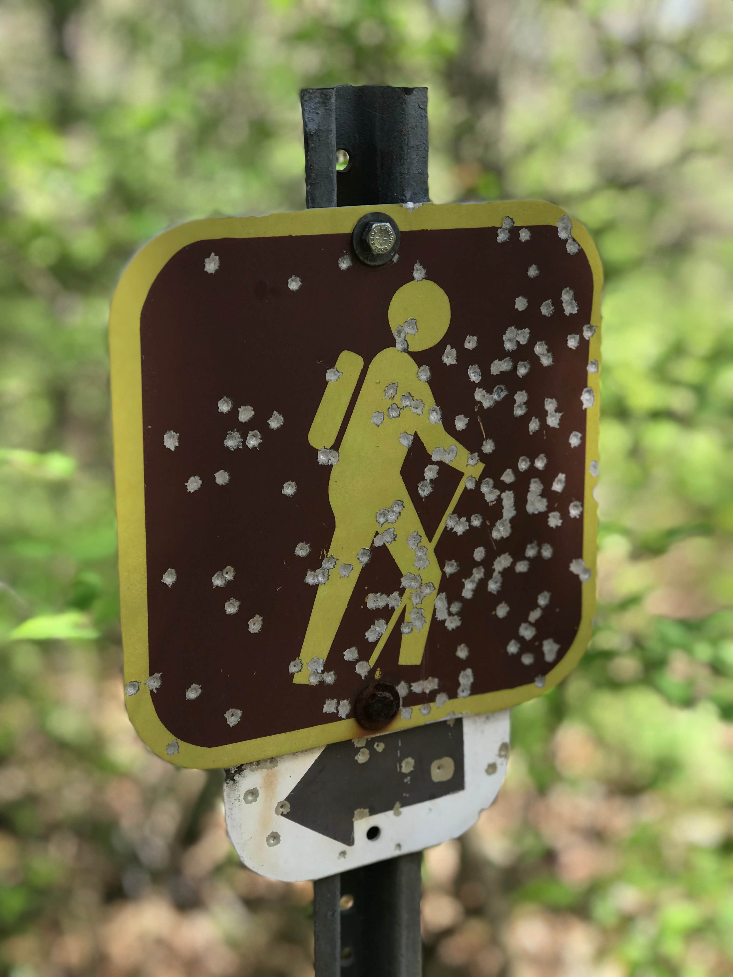 Camper-submitted photo at Sangchris Lake State Park Campground near Lincoln, IL