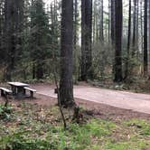 Review photo of Millersylvania State Park Campground by Corinna B., April 3, 2019