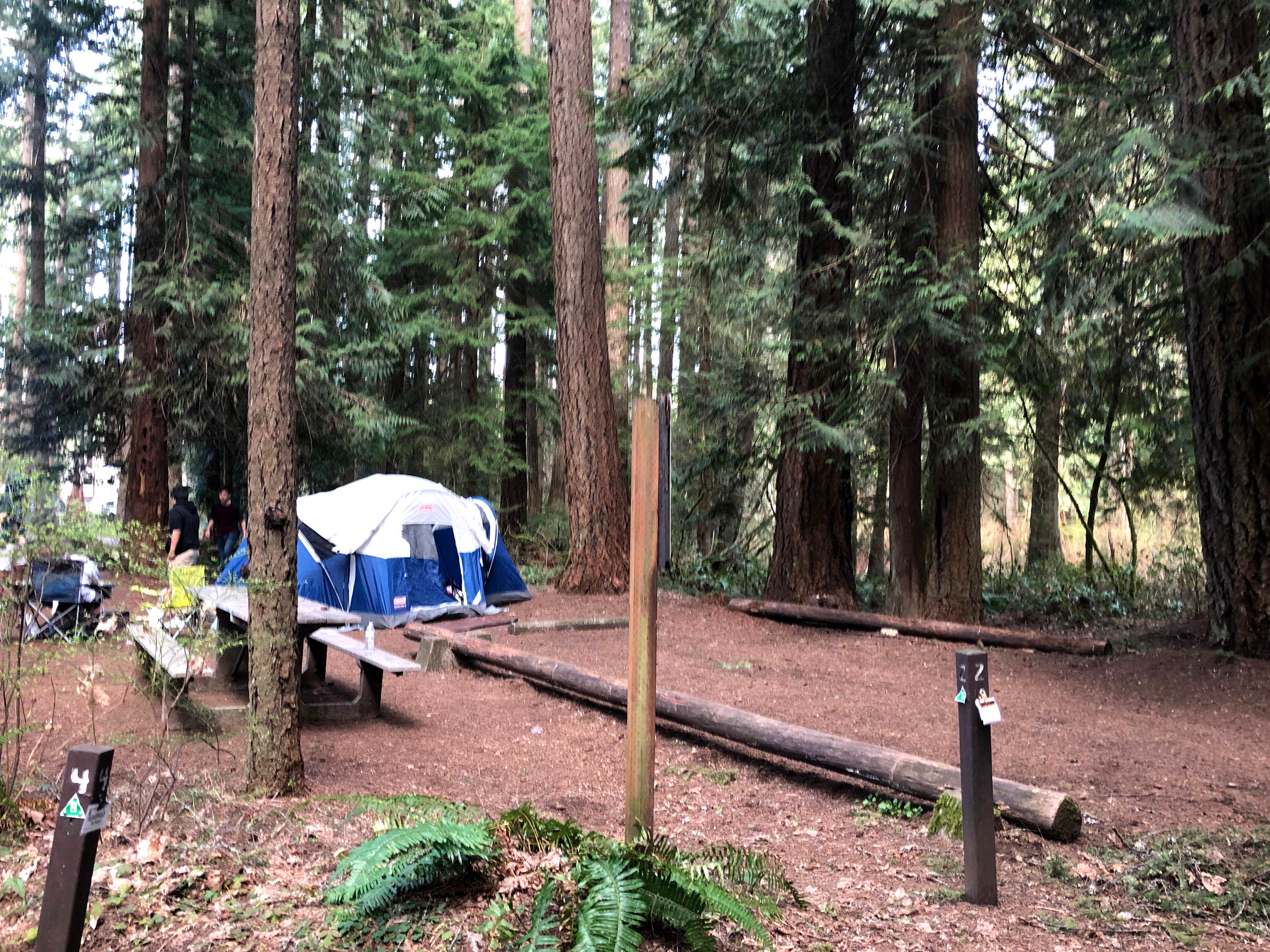 Corinna B.'s photo at Millersylvania State Park Campground near Centralia, WA