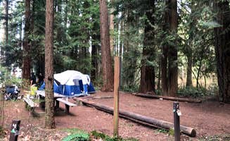 Corinna B.'s photo at Millersylvania State Park Campground near Centralia, WA