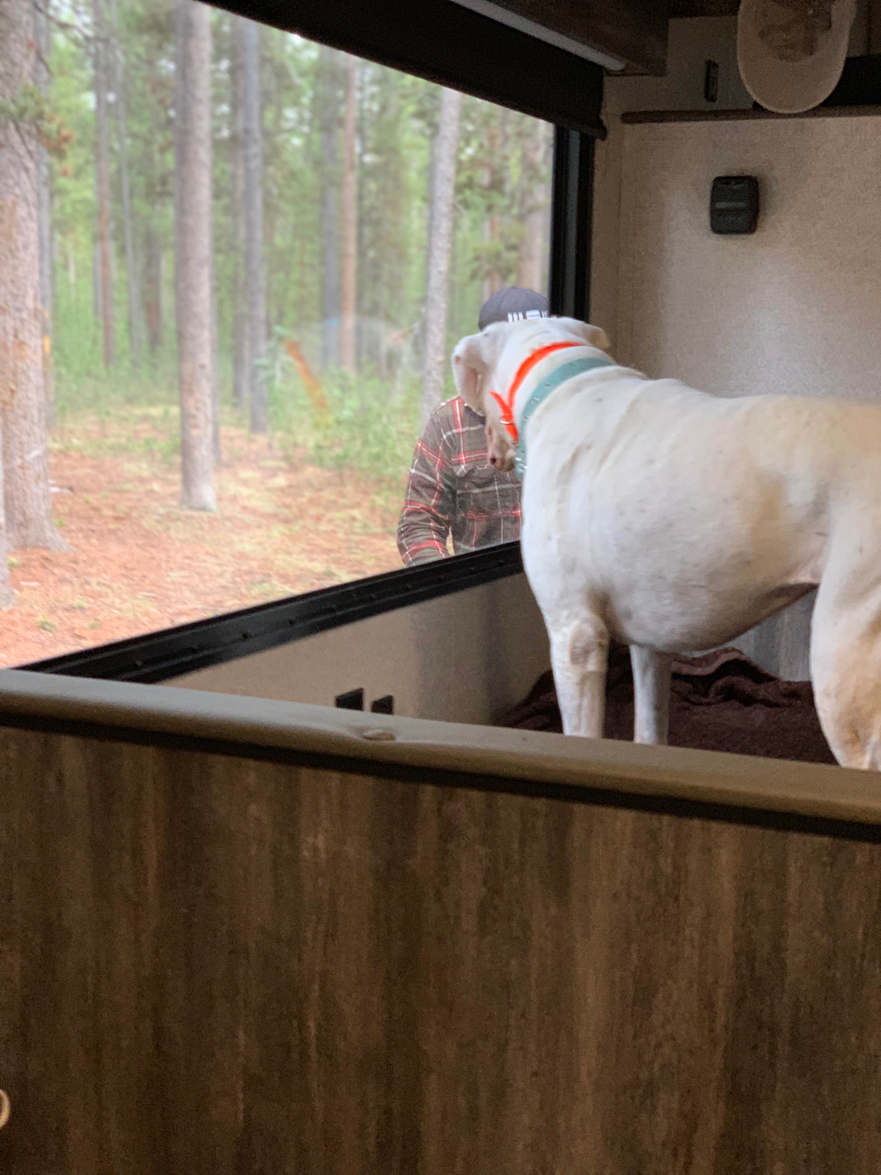 Katrina S.'s photo of camping with pets at Rainbow Point Campground near Yellowstone National Park