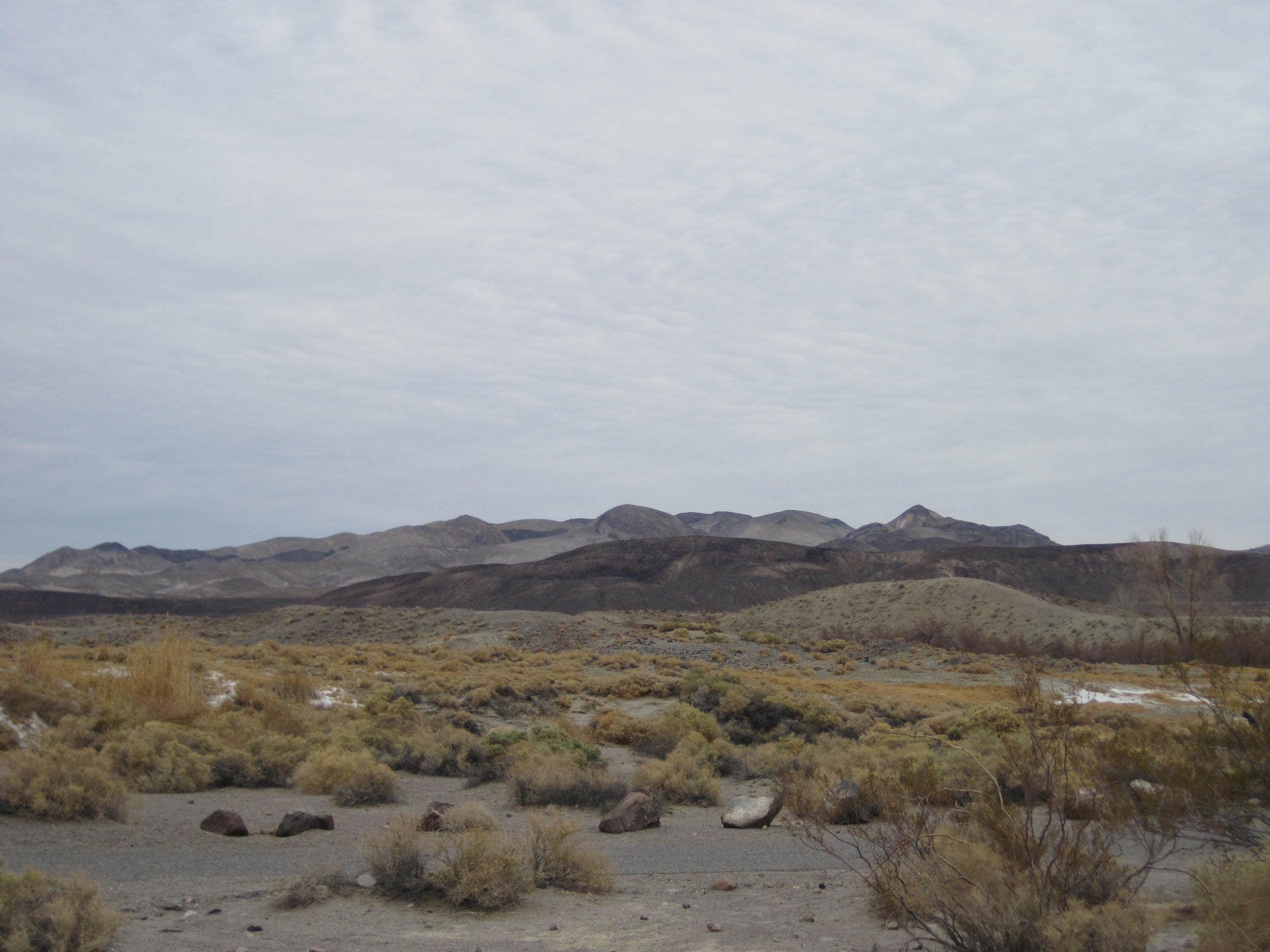 Camper submitted image from Mesquite Spring Campground — Death Valley National Park - 2