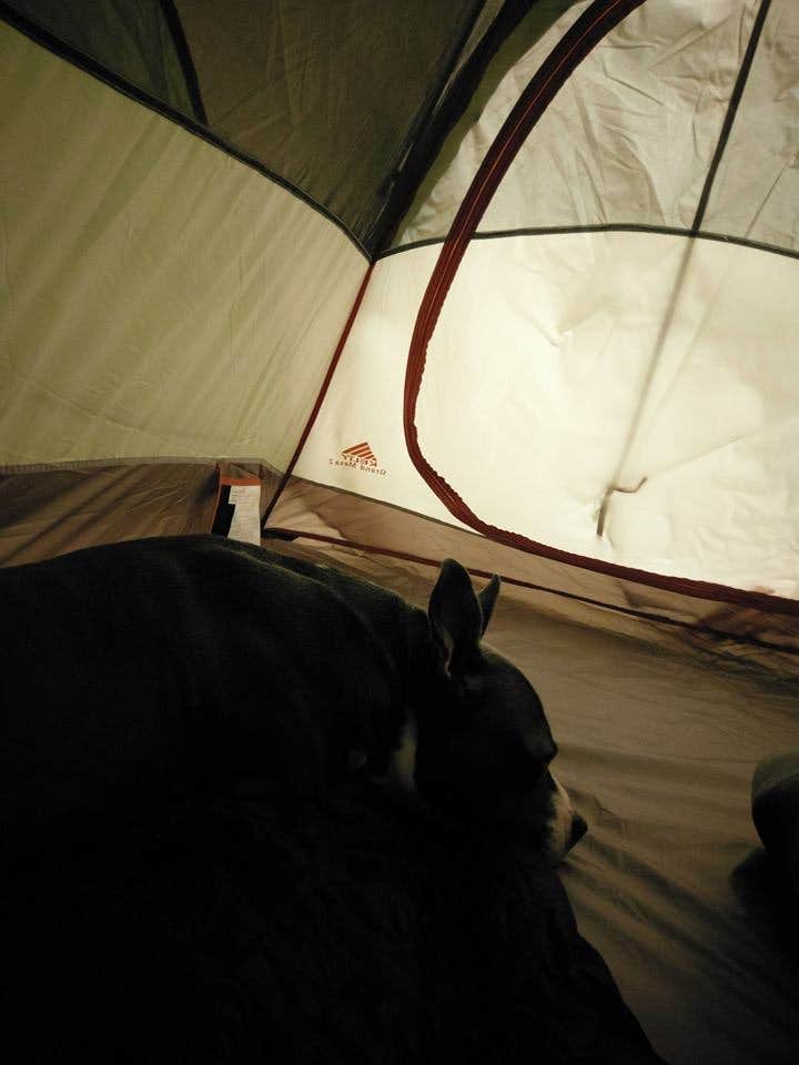John P.'s photo of camping with pets at Asheville East KOA near Asheville, NC