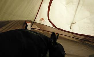 John P.'s photo at Asheville East KOA near Swannanoa, NC