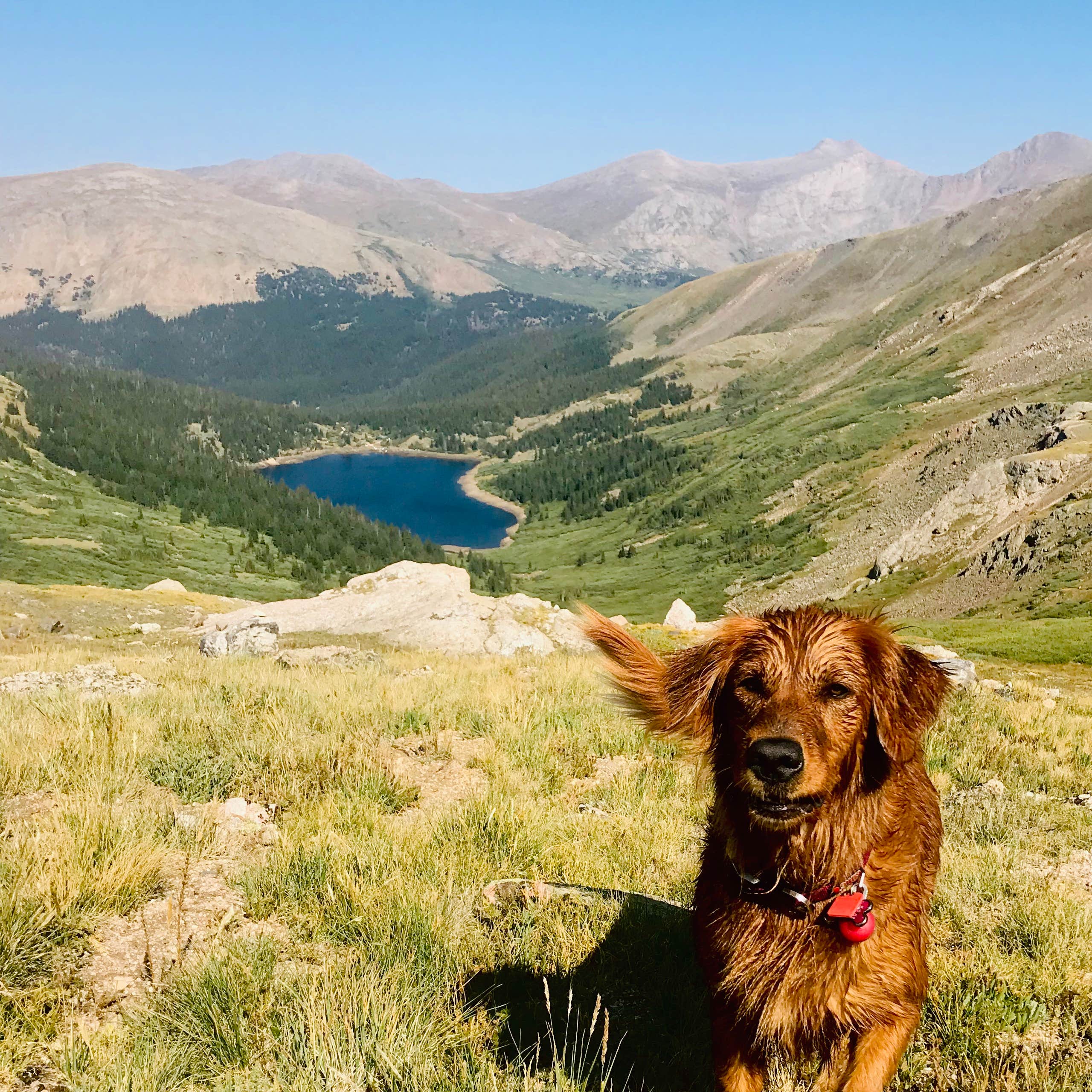 Clear Lake Camping The Dyrt