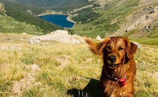Karl G.'s photo of camping with pets at Clear Lake near Georgetown, CO