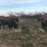 Review photo of South Prong Primitive Camping Area — Caprock Canyons State Park by Troy W., June 1, 2019