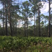Review photo of Topsail Hill Preserve State Park Campground by Kaitlyn  C., June 1, 2019