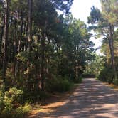 Review photo of Topsail Hill Preserve State Park Campground by Kaitlyn  C., June 1, 2019