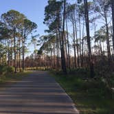 Review photo of Topsail Hill Preserve State Park Campground by Kaitlyn  C., June 1, 2019
