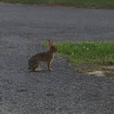 Review photo of Topsail Hill Preserve State Park Campground by Kaitlyn  C., June 1, 2019