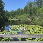 Review photo of Topsail Hill Preserve State Park Campground by Kaitlyn  C., June 1, 2019