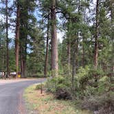 Review photo of Indian Ford Campground by Corinna B., June 1, 2019